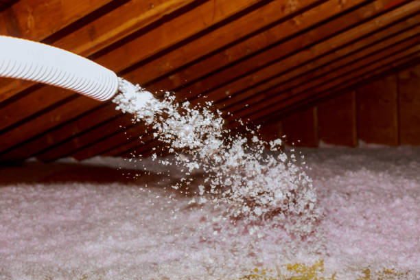 Insulation Inspection Services in Taunton, MA